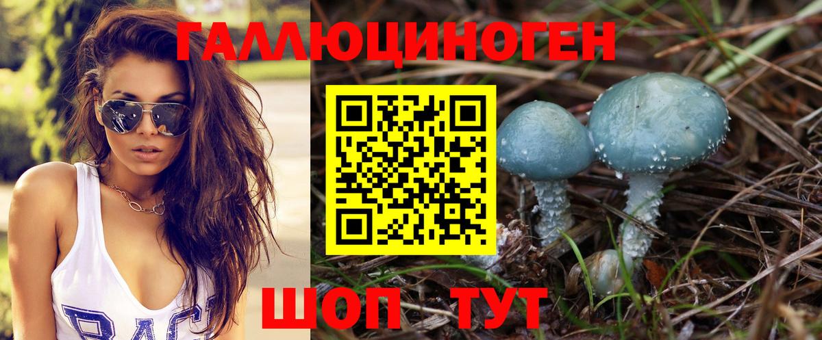 Лесосибирск  Галлюциногенные грибы мицелий  Вход с VPN 