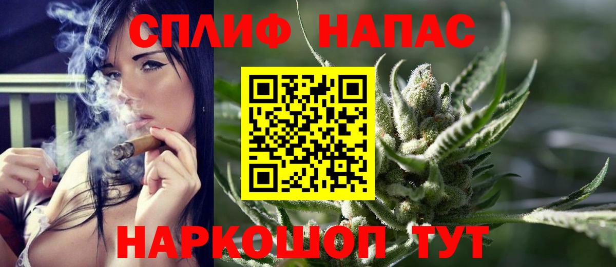 Лесосибирск  Канабис семена  Вход с VPN  Конопля конопля  Конопля SATIVA & INDICA 